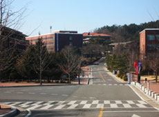 ������ѧԤ��