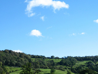 �ȷ�����ְҵ����ѧԺ