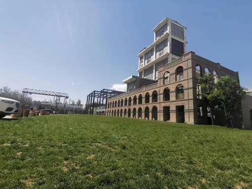 һ����Ϸ��ѵ